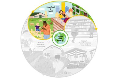 Strengthening Partnership in Health and Nutrition