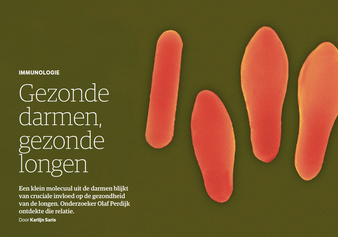 Our work featured in the NRC Wetenschapsbijlage!